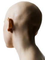 Source: http://pixgood.com/bald-head-back.html